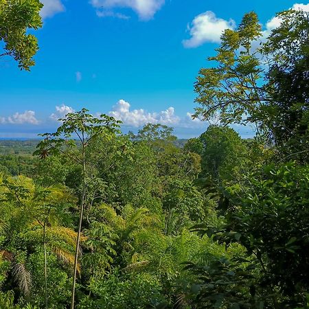 Corcovado Private Villas - Corcovado Private Reserve Puerto Jiménez Zewnętrze zdjęcie