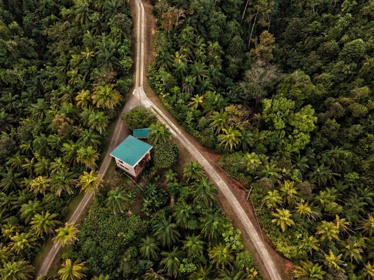 Corcovado Private Villas - Corcovado Private Reserve Puerto Jiménez Zewnętrze zdjęcie