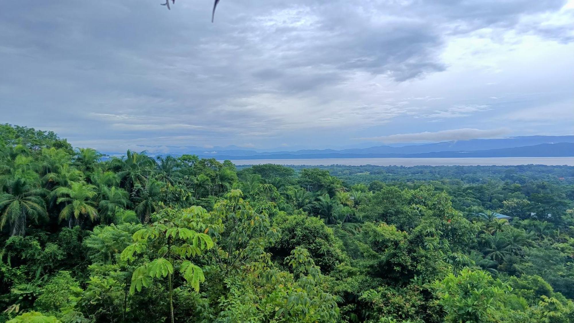 Corcovado Private Villas - Corcovado Private Reserve Puerto Jiménez Zewnętrze zdjęcie