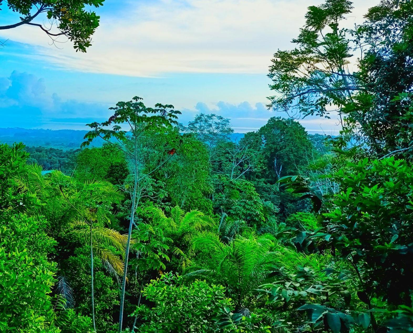 Corcovado Private Villas - Corcovado Private Reserve Puerto Jiménez Zewnętrze zdjęcie
