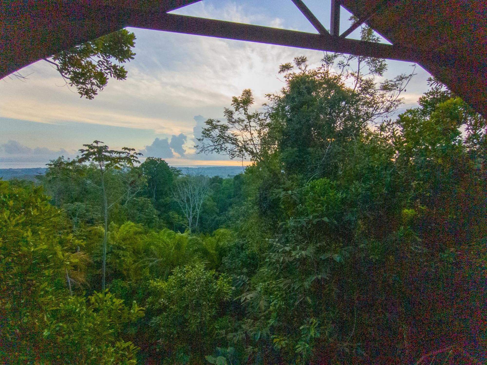 Corcovado Private Villas - Corcovado Private Reserve Puerto Jiménez Zewnętrze zdjęcie