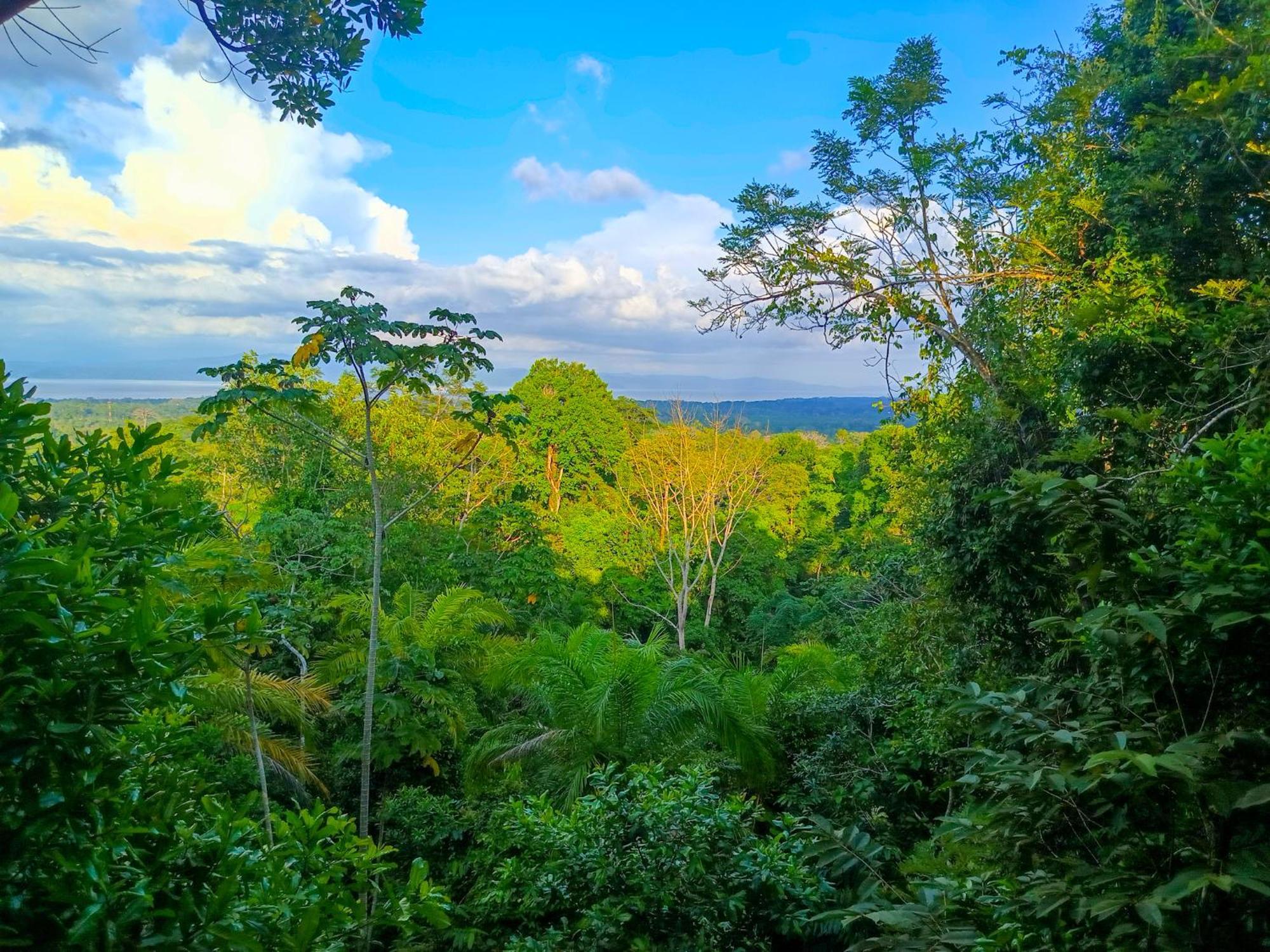 Corcovado Private Villas - Corcovado Private Reserve Puerto Jiménez Zewnętrze zdjęcie