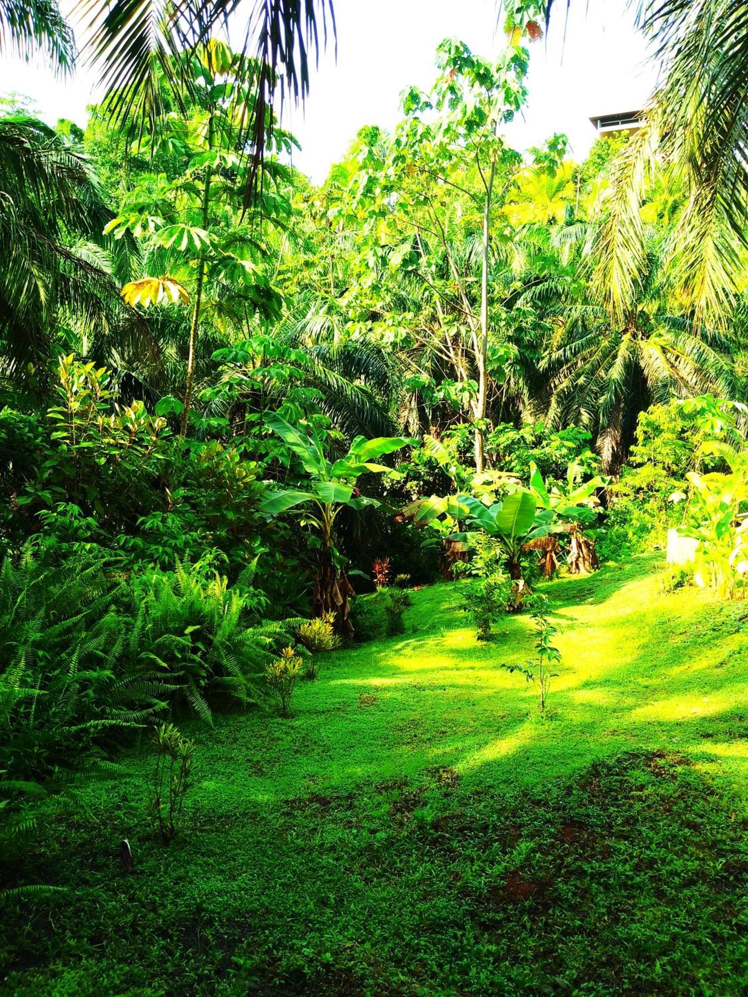 Corcovado Private Villas - Corcovado Private Reserve Puerto Jiménez Zewnętrze zdjęcie