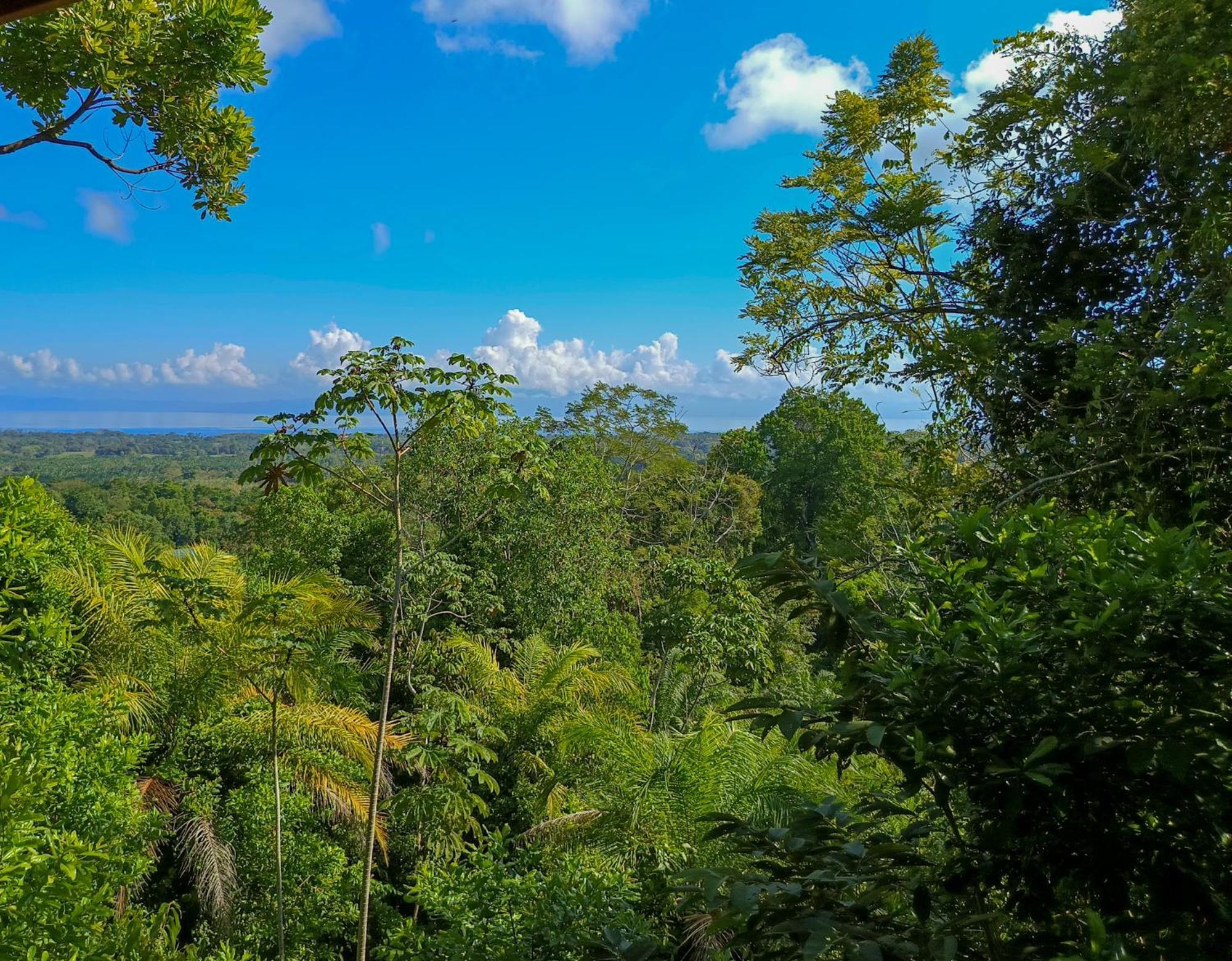 Corcovado Private Villas - Corcovado Private Reserve Puerto Jiménez Zewnętrze zdjęcie