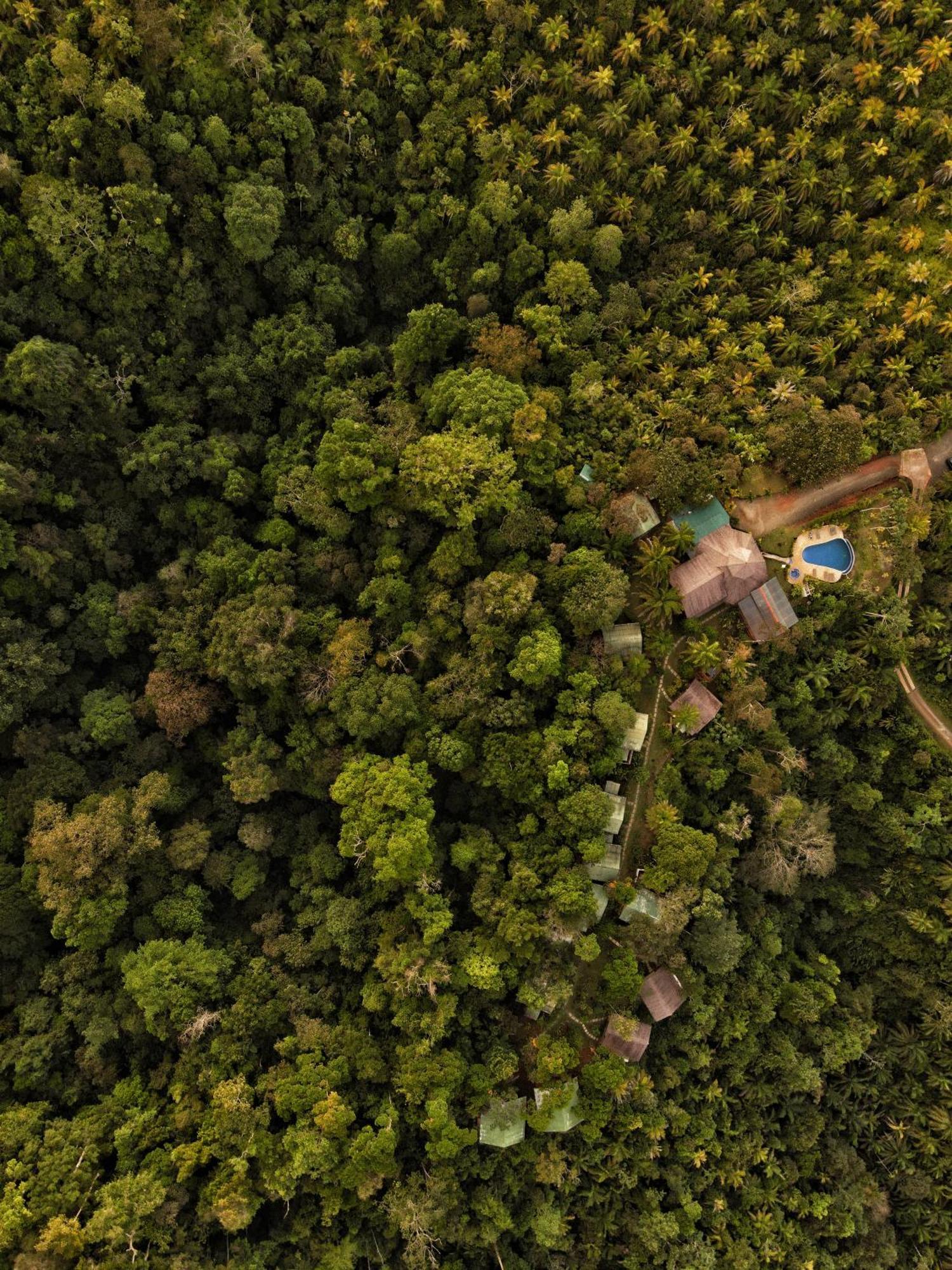 Corcovado Private Villas - Corcovado Private Reserve Puerto Jiménez Zewnętrze zdjęcie